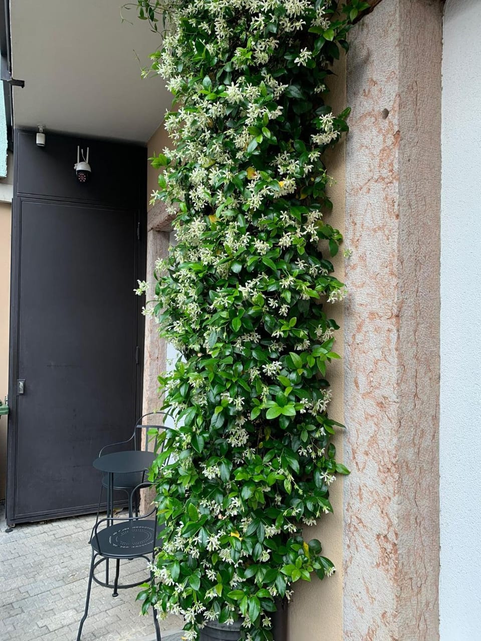 Villa Jasmine Hotel in Bolzano
