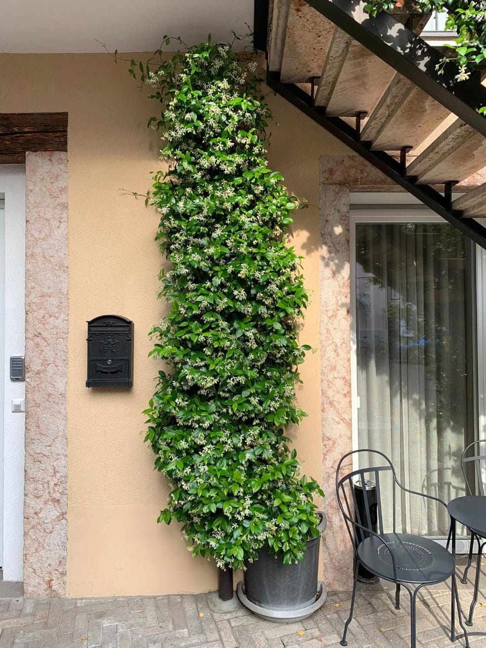 Villa Jasmine Hotel in Bolzano