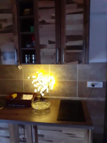 Vila PARADIZO-ZLATAR, studio apartman 1 Hotel in Zlatibor District, Serbia