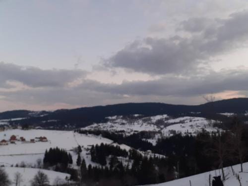 Vila PARADIZO-ZLATAR, studio apartman 1 Hotel in Zlatibor District, Serbia