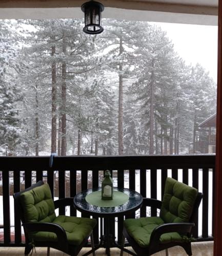 Simic Apartmani Tara Lodge in Zlatibor District, Serbia