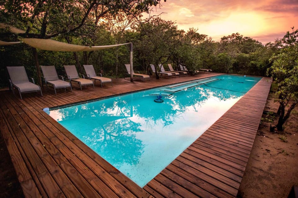 Royal Thonga Safari Lodge Lodge in KwaZulu-Natal
