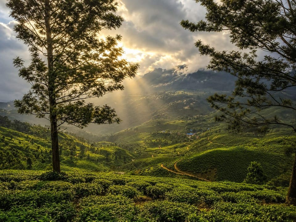 Aroma Hills Resort  Resort in Kerala