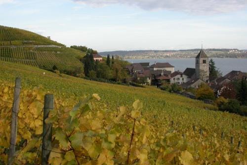 Fontana Budget Hotel in Canton of Bern (Region)