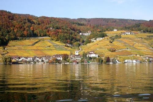Fontana Budget Hotel in Canton of Bern (Region)