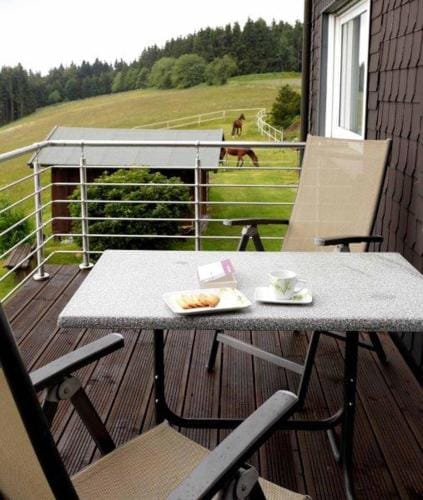 Pension Haus Astenblick Hotel in Winterberg