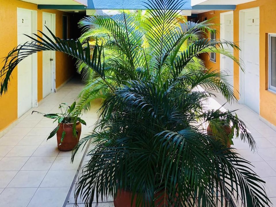 Hotel Del Parque Hotel in State of Oaxaca