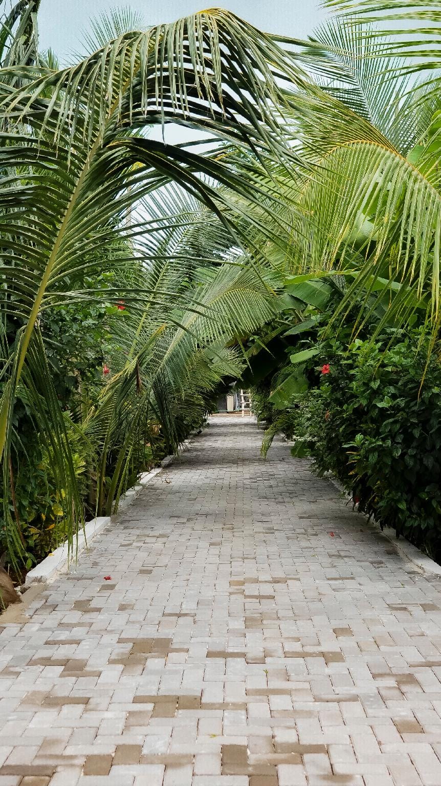 Cheka bungalows Hotel in Unguja North Region