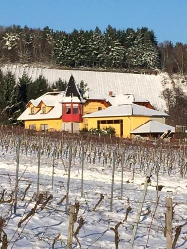 Gastezimmer Hans-Norbert Mack Hotel in Oestrich-Winkel