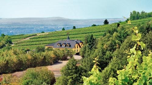 Gastezimmer Hans-Norbert Mack Hotel in Oestrich-Winkel