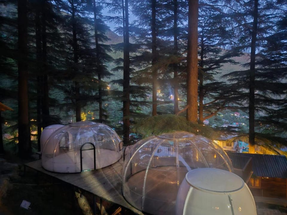 log hut dharamkot Resort in Himachal Pradesh