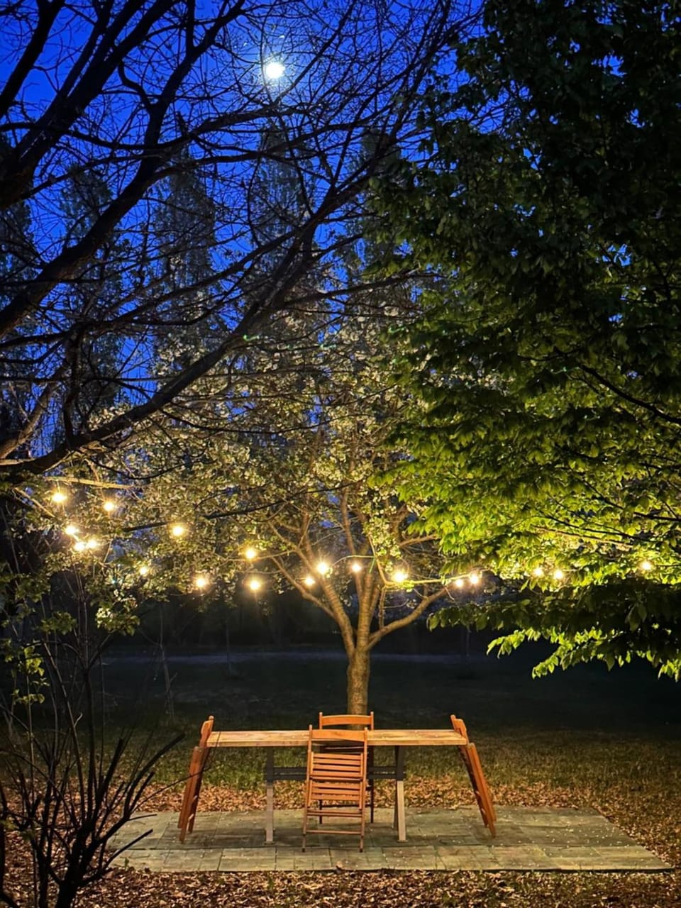 B&B Podere Merlo Hotel in Parma