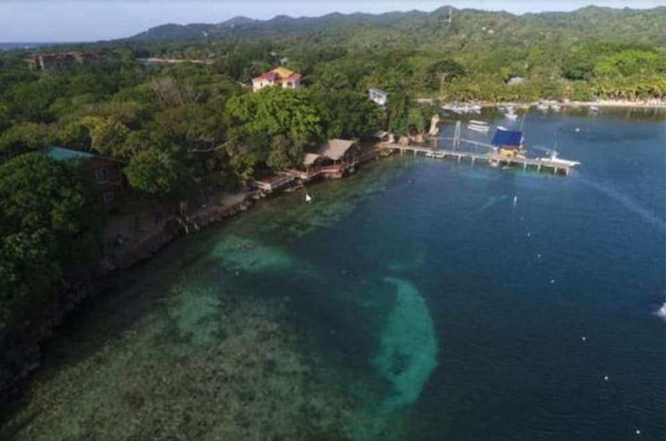 Half Moon Resort Hotel in West End