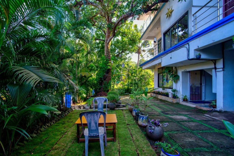 Tero Social Hotel in Goa, India