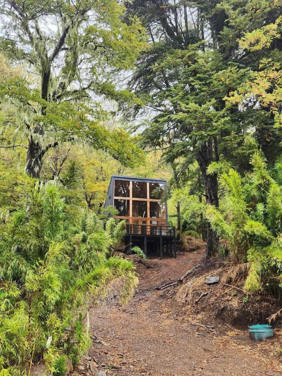 Rincon del Bosque Hotel in Araucania, Chile