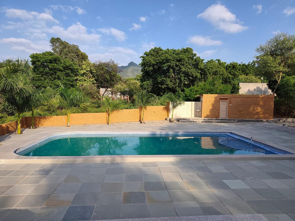 Swimming pool [outdoor]