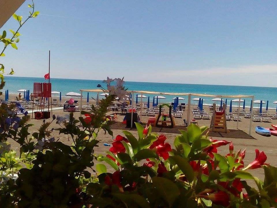 Hotel Rex Hotel in Praia A Mare