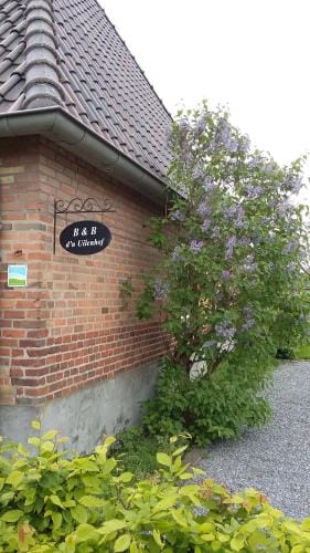 B&B d'n Uilenhof Haren Hotel in North Brabant (province)