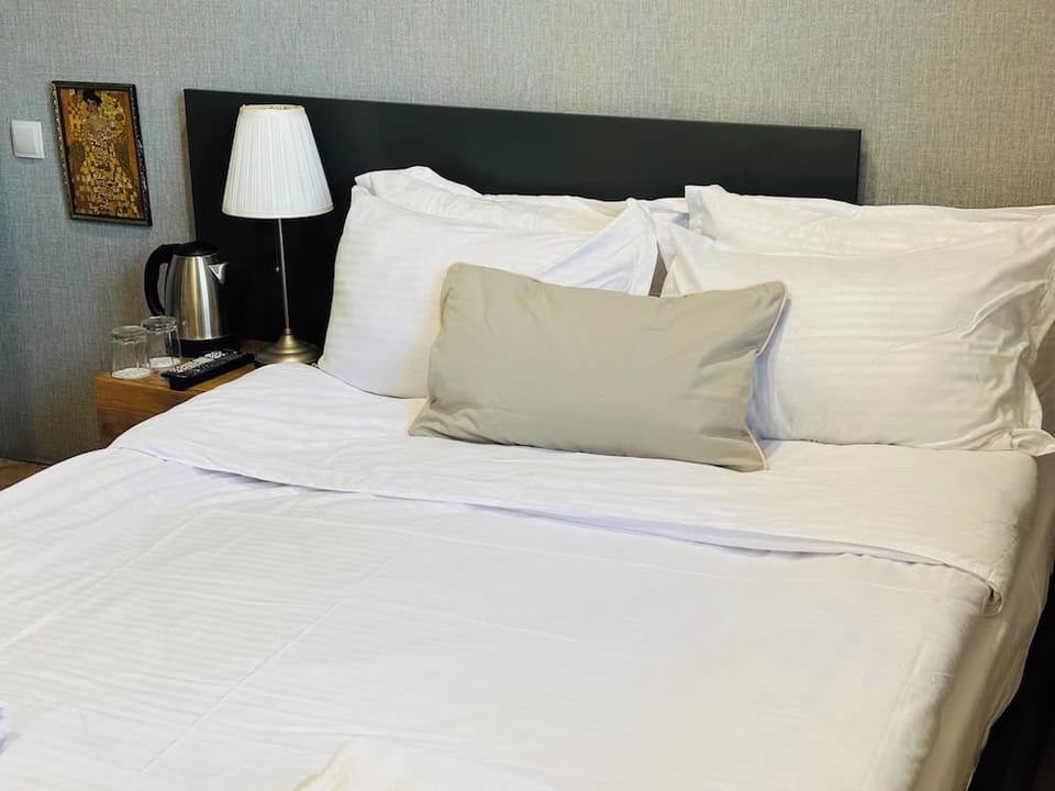 62 Dimitri Uznadze str. Hotel in Tbilisi, Georgia