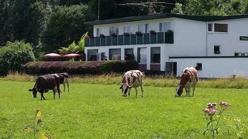 WALDHOTEL Hotel in Rhineland-Palatinate