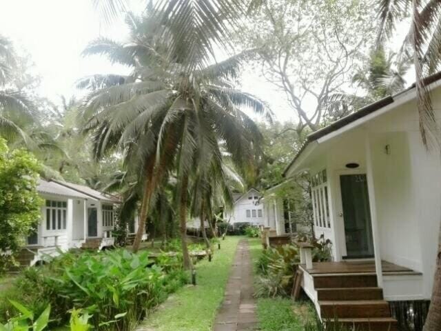 Exterior view