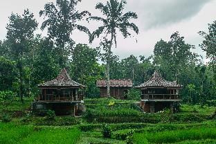 Tepi Sawah Lodge Hotel in East Selemadeg