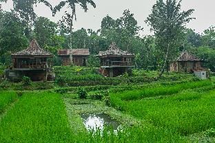 Tepi Sawah Lodge Hotel in East Selemadeg