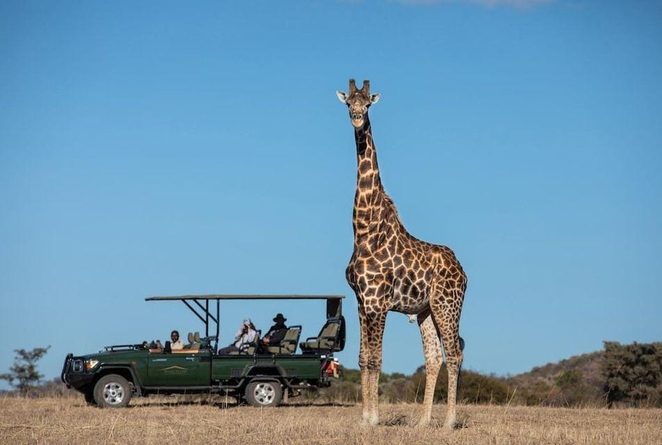 Safari Plains Hotel in North West, South Africa