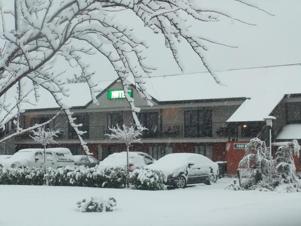 Darfield Motel Motel in Canterbury