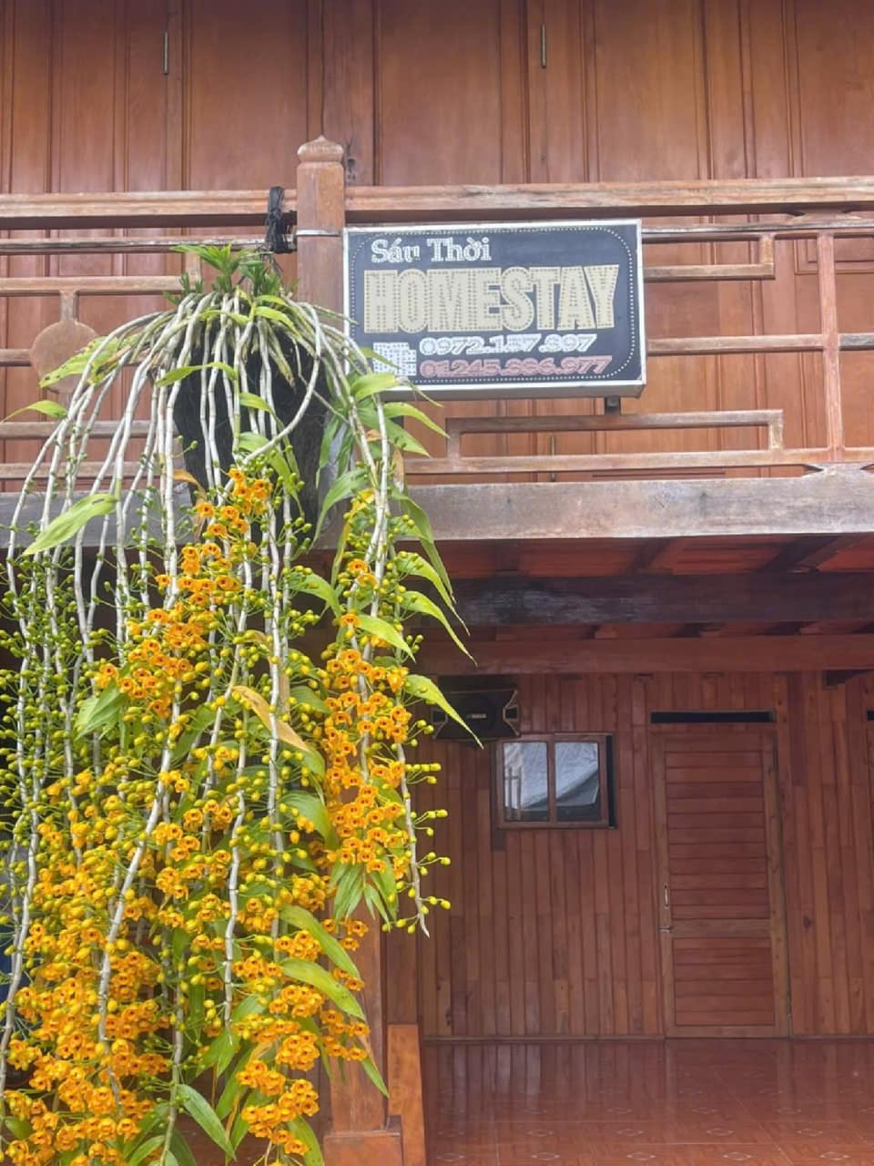 Sáu Thời Homestay Hotel in Vietnam