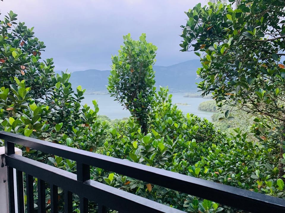 Casa Lucio Resorts Resort in Kerala