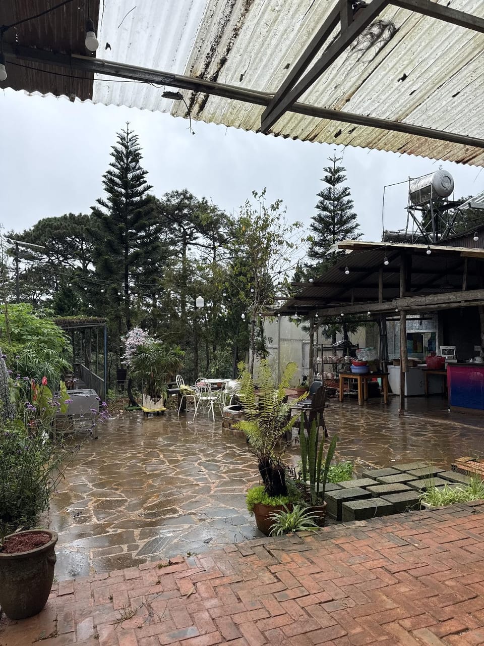Honami farm Hotel in Dalat