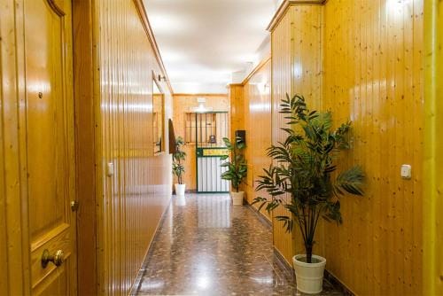 Hostal Sango Sierra de las Nieves Hostel in Sierra de las Nieves