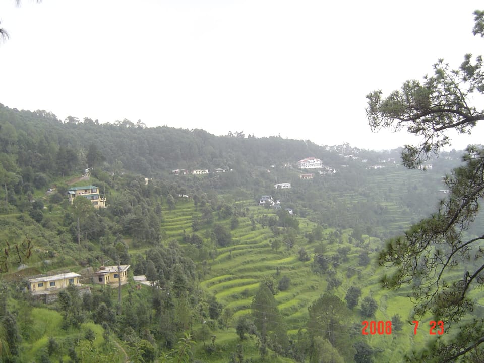 View