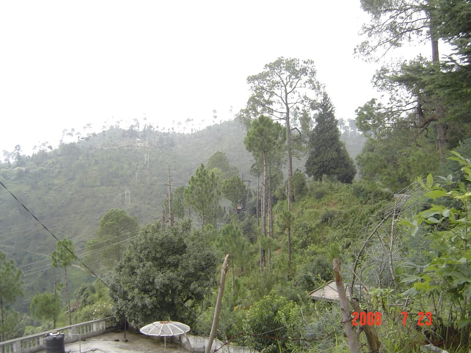 View