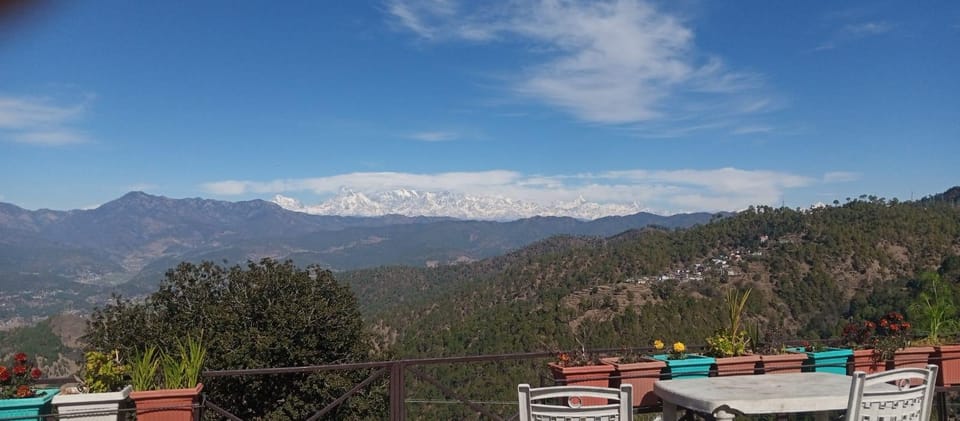 View
