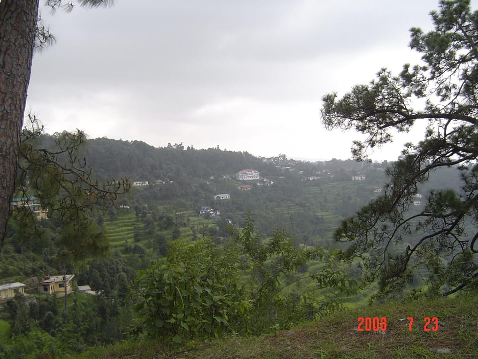View