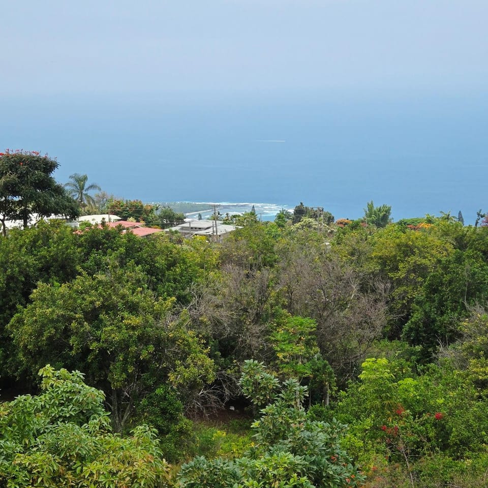Manago Hotel Hotel in Captain Cook