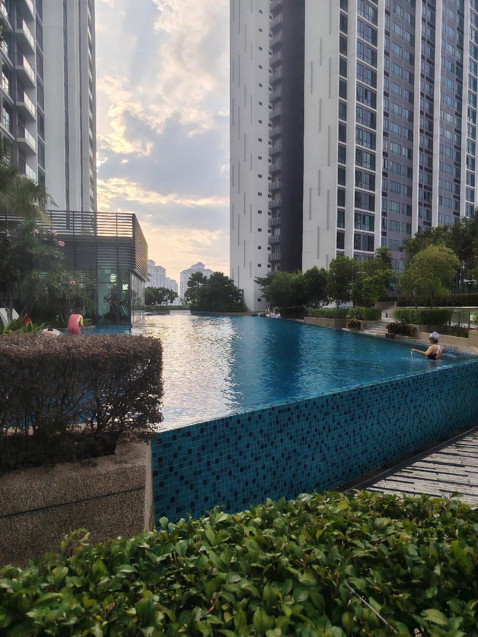 Swimming pool [outdoor]