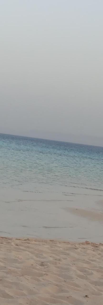 Beach hostel Hotel in Red Sea Governorate