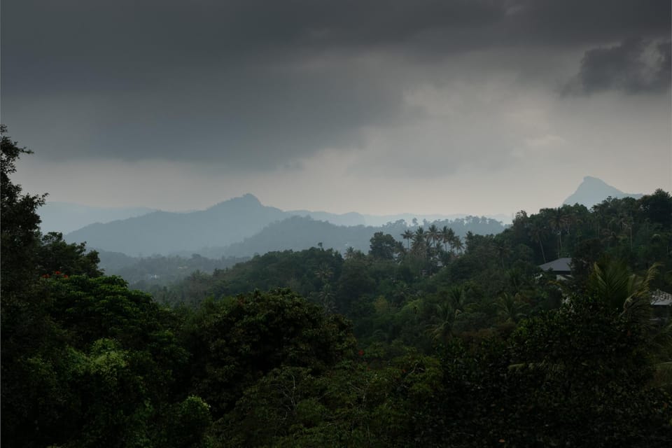 Cloudy Mist, Munnar Hotel in Kerala