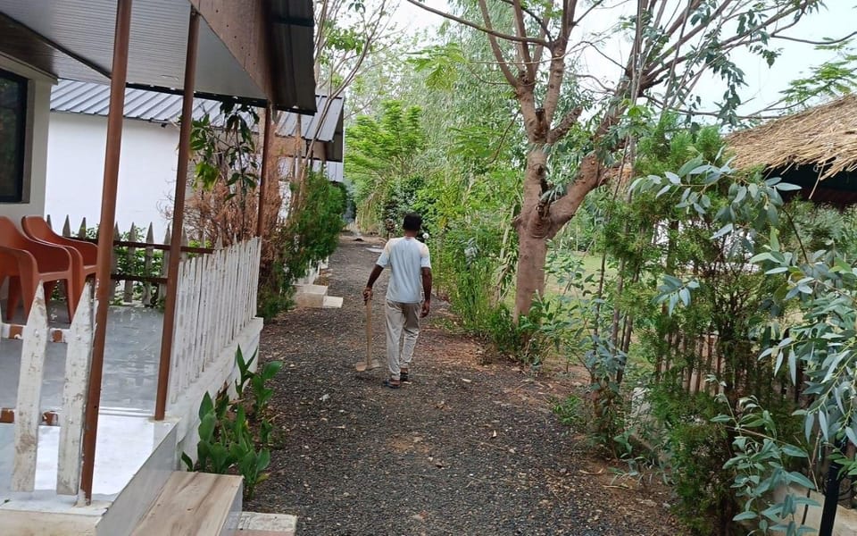 Surrounding environment
