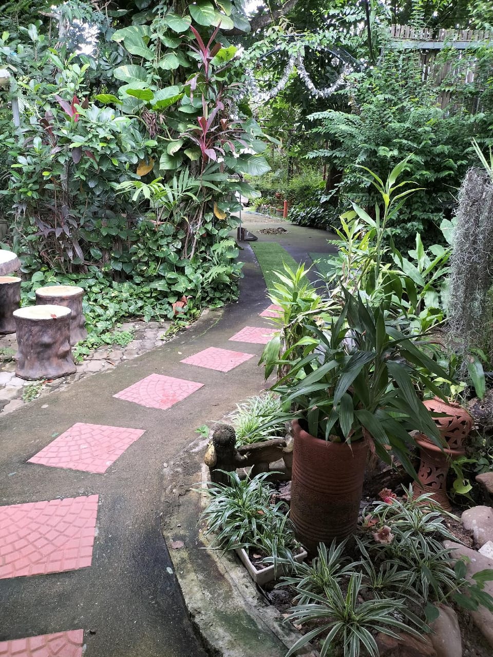 ต้งโฮมสเตย์หละปูน Bed and Breakfast in Thailand