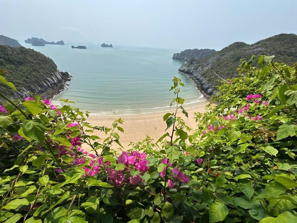 Flamingo Cát Bà - Lotus Sea view Hotel in Vietnam