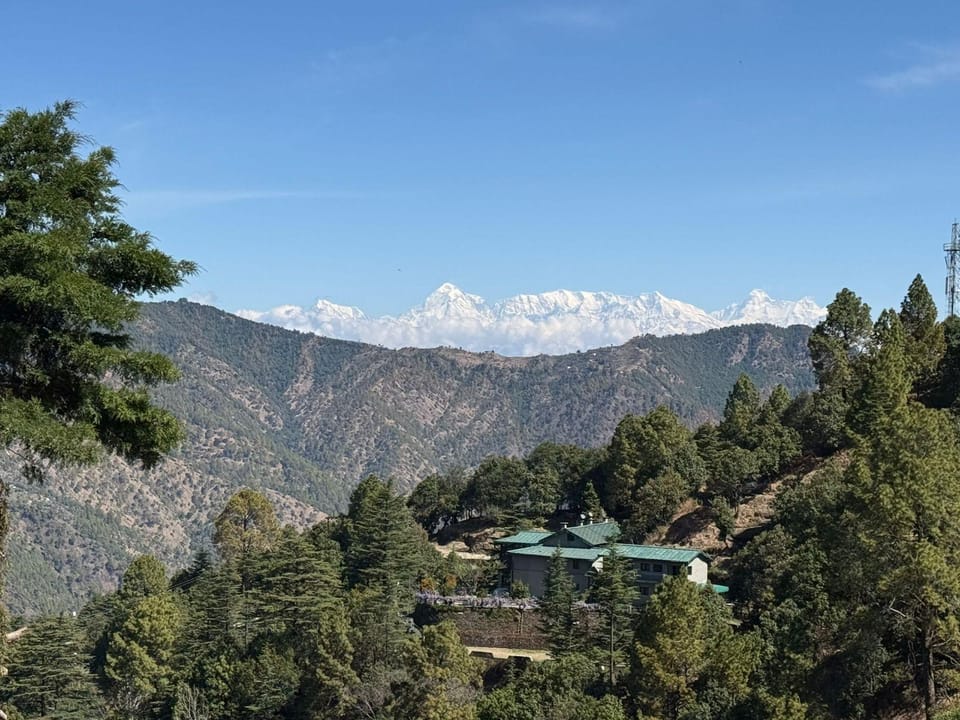 View