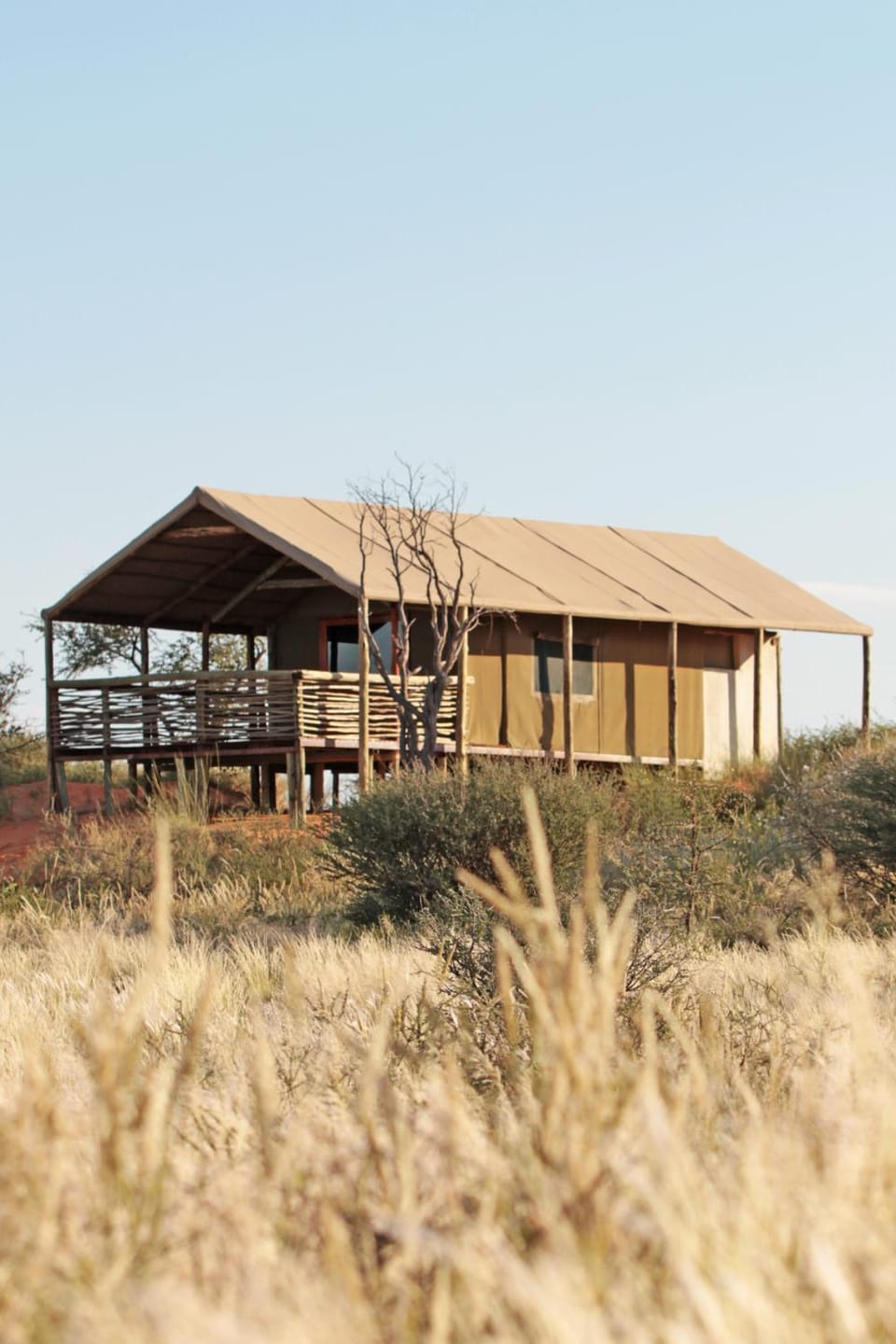 Suricate Tented Kalahari Lodge Lodge in Namibia