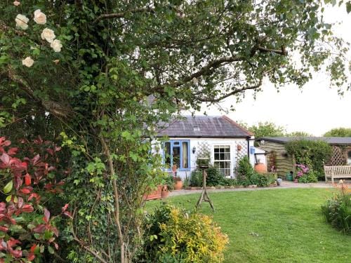 Cosy Cottage ground floor bedroom ensuite with private entrance Hotel in Chichester District