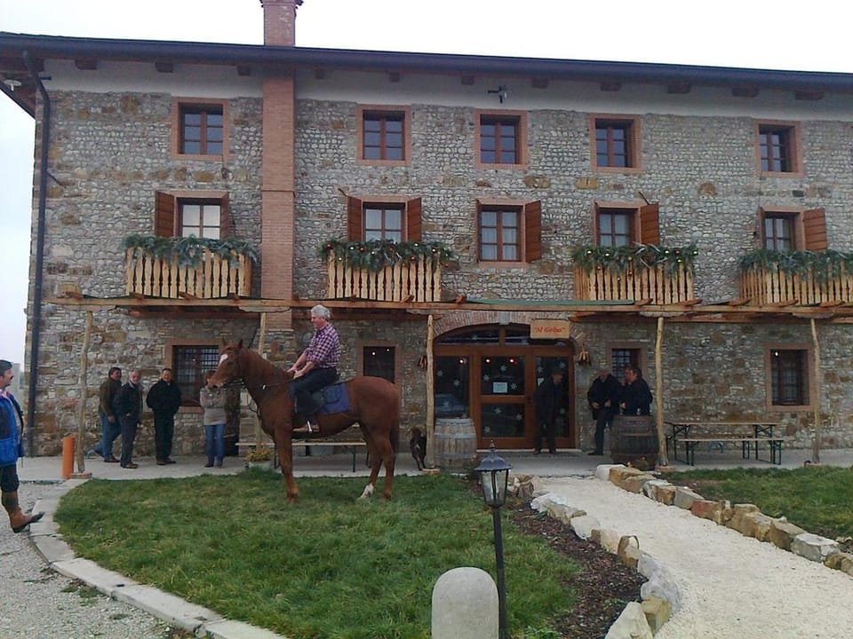 Agriturismo Al Gelso Hotel in Friuli-Venezia Giulia