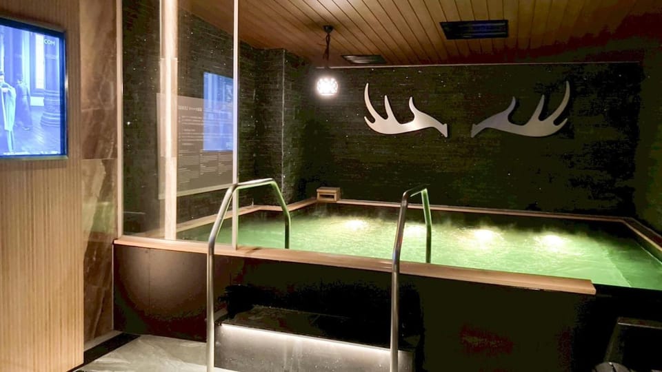 Hotel Livemax Nakajima Park Grande Hotel in Sapporo