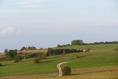 Gastezimmer Schanz-Hilbel Hotel in Baden-Württemberg